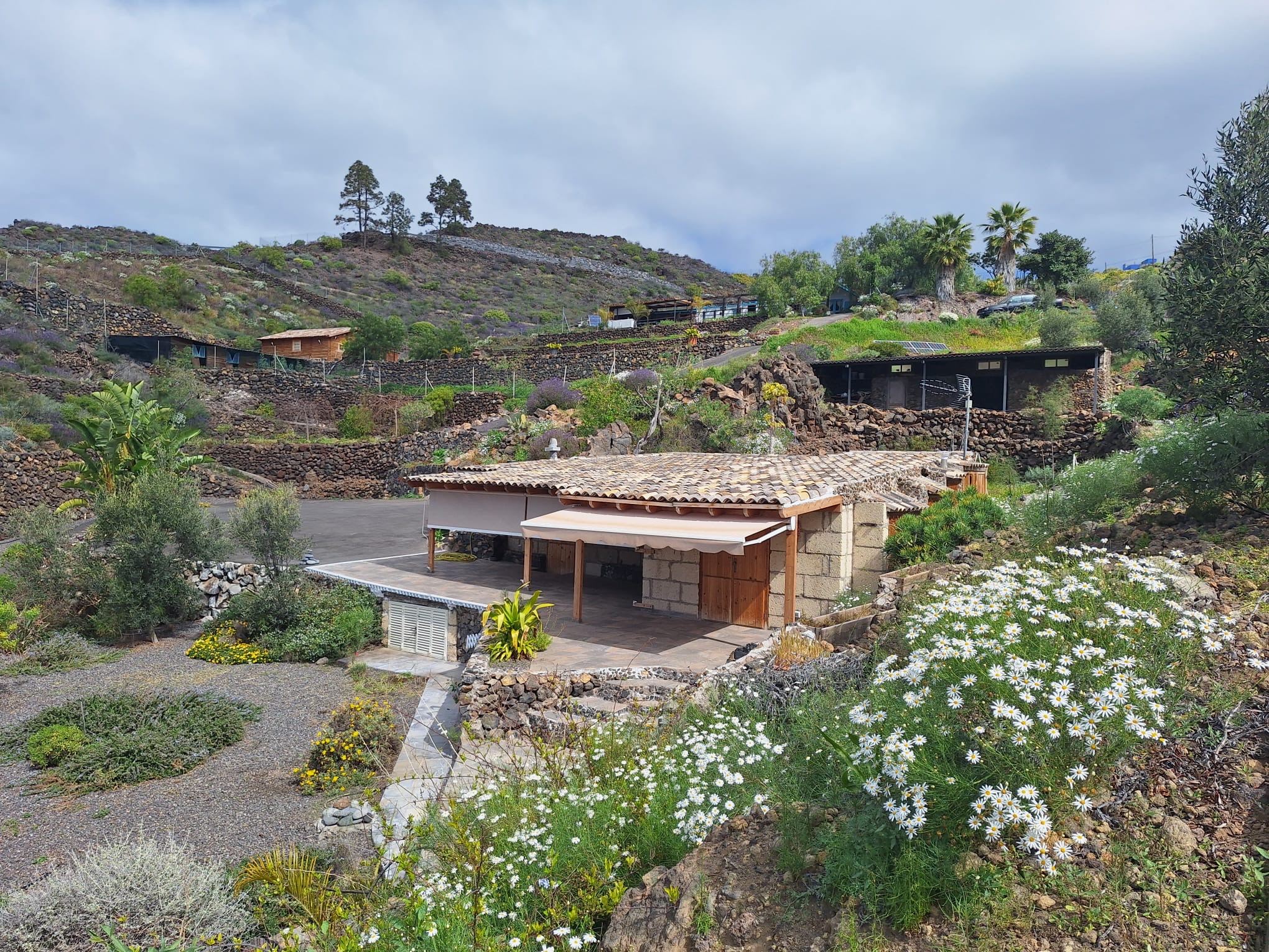 Finca con 6 Casas en Guía de Isora