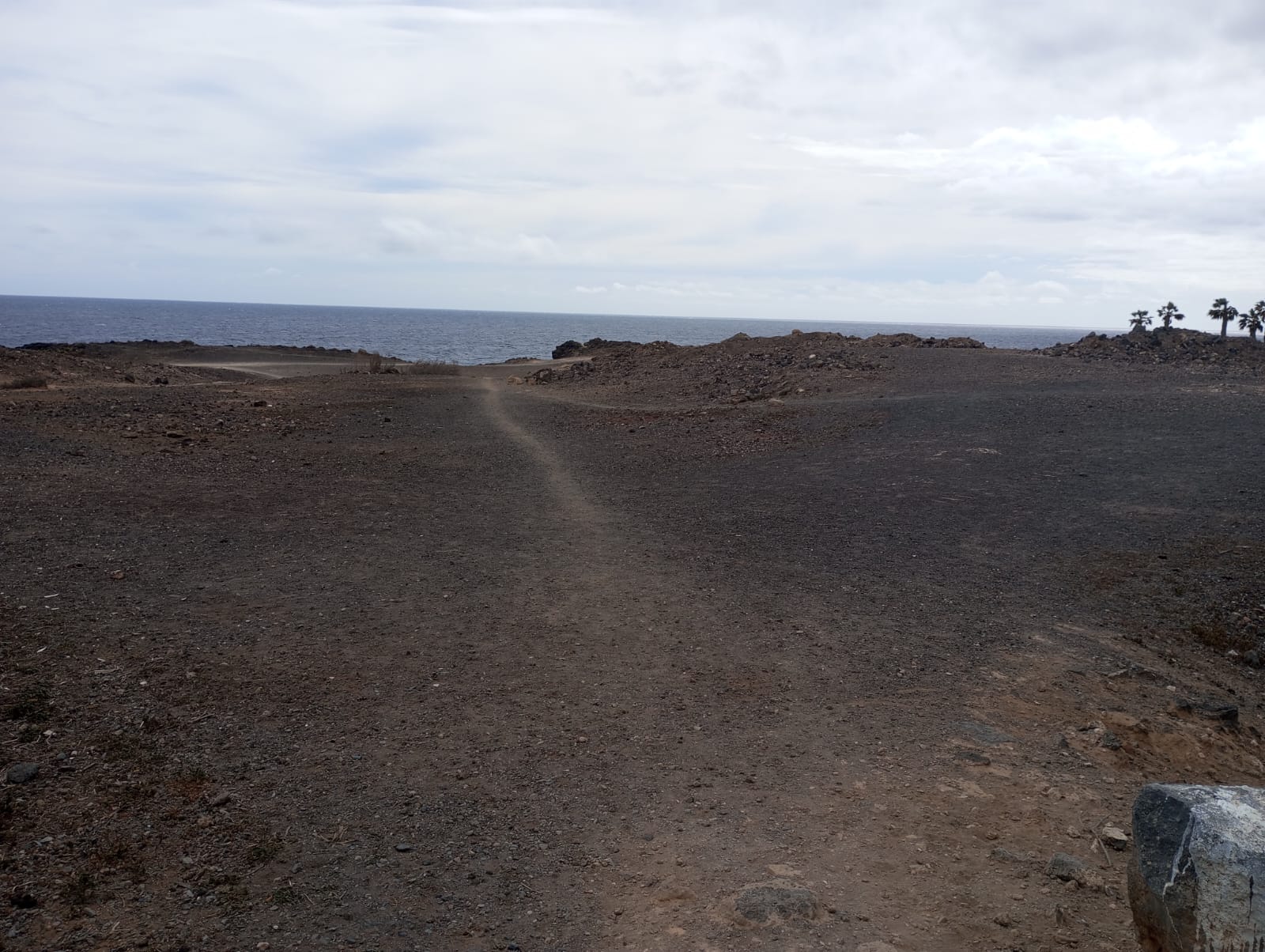 Parcela hotelera en primera línea de mar en el sur de Tenerife