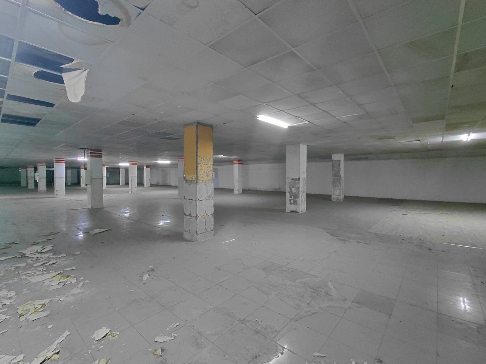 Local comercial de 1.770 m² en venta o alquiler en la Urbanización Torviscas, Costa Adeje