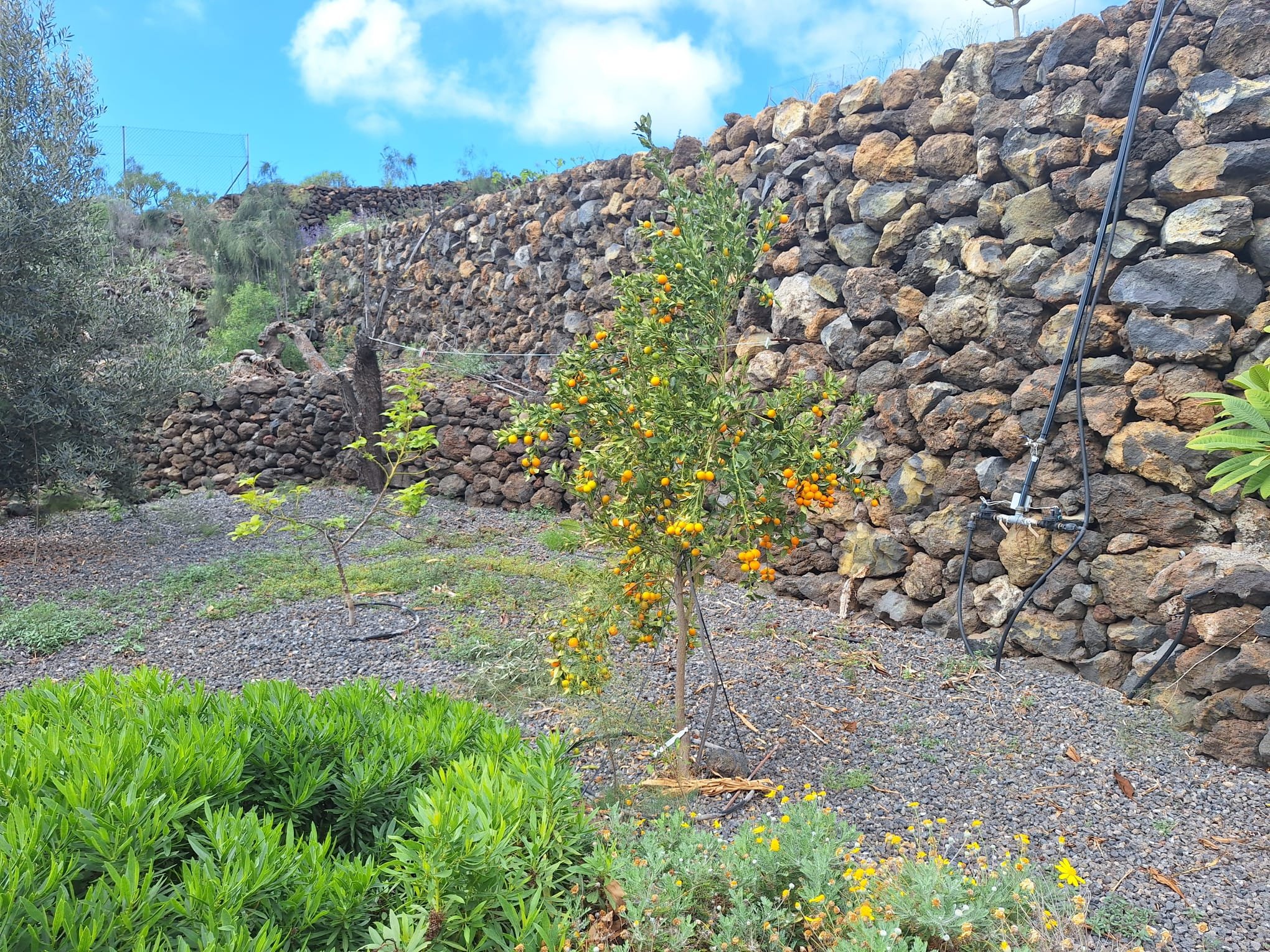 Finca de 15.000 m² con 6 casas y vistas al mar