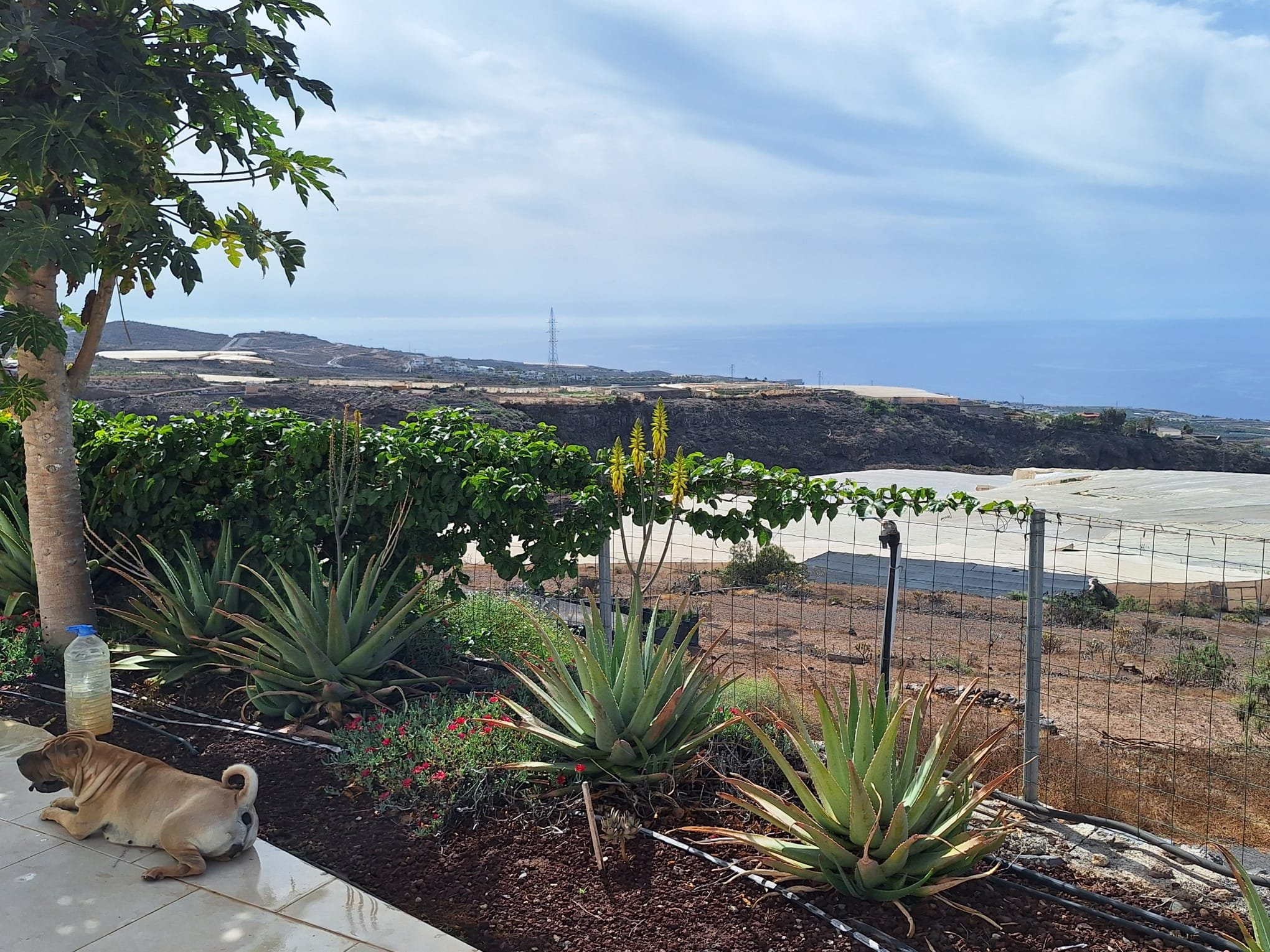 Finca de 15.000 m² con 6 casas y vistas al mar