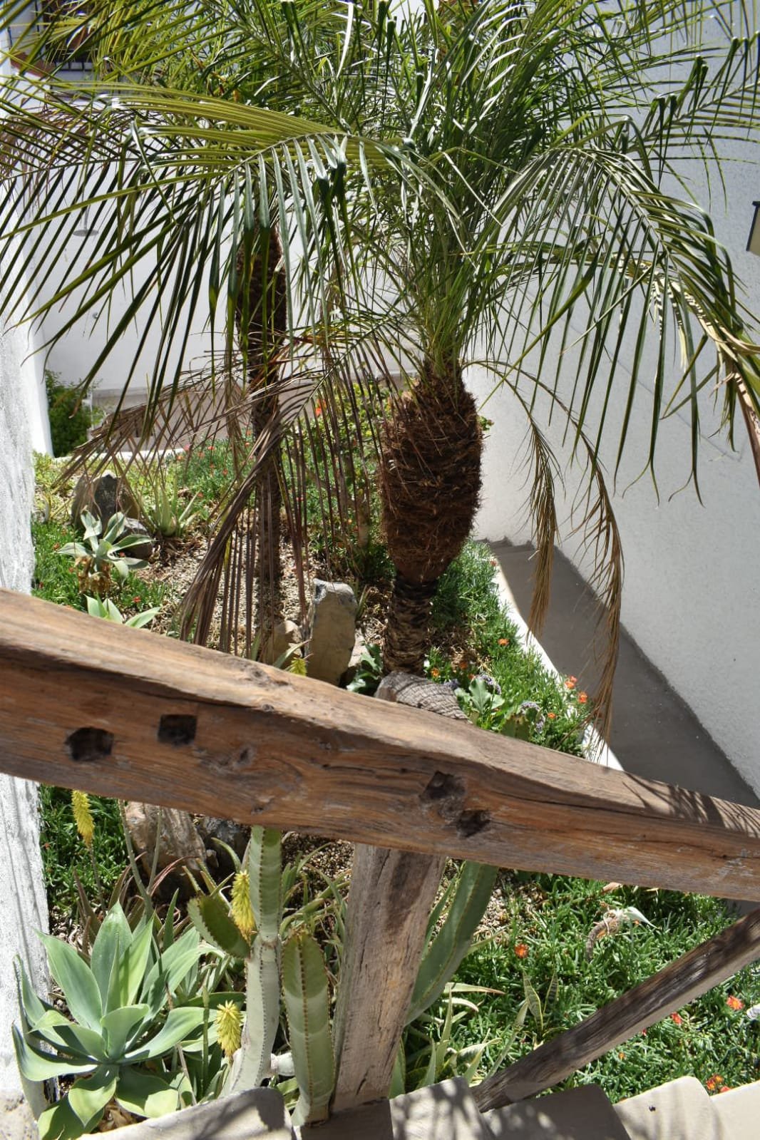 Casa en alquiler con piscina privada y vistas al mar en Los Gigantes