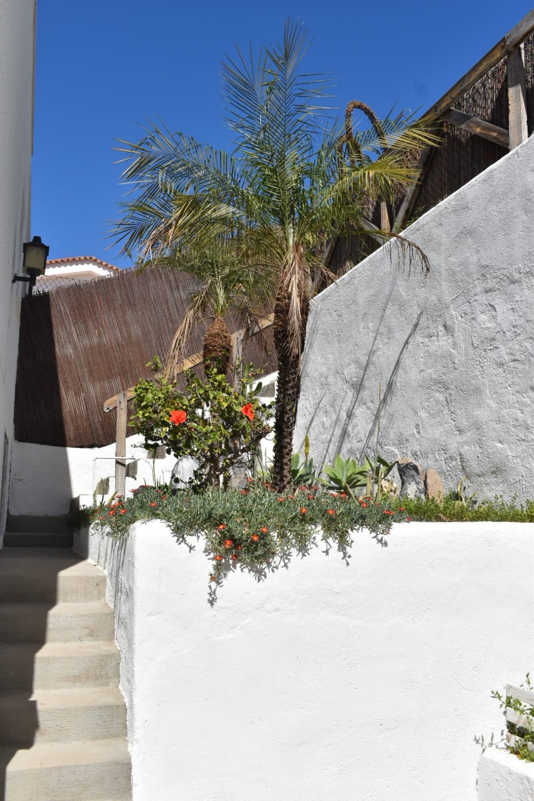 Casa en alquiler con piscina privada y vistas al mar en Los Gigantes